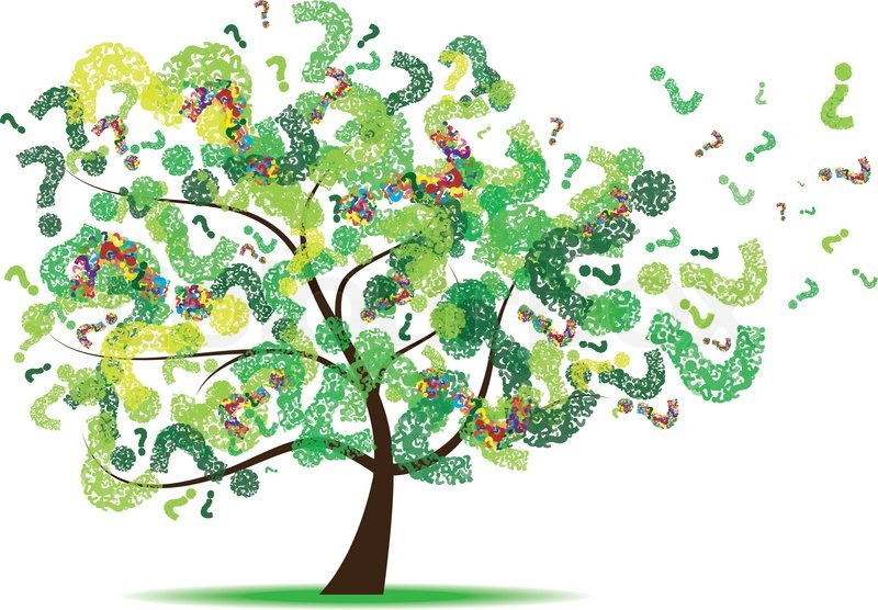 Illustration for article titled All Right -- What Happened to the Tree?